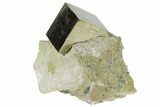 Pyrite Cube In Rock - Navajun, Spain #118245-1